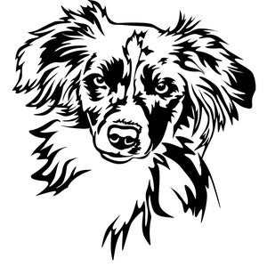 MINIATUUR AUSTRALISCHE HERDER Aussie - sticker - rashond sticker - auto sticker - Mini Aussie hoofd - sticker #3546