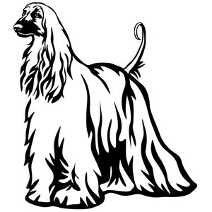 AFGHAN Afghan Hound - Sticker - Purebred Dog Sticker - Car Sticker - sticker - Afghan Hound #4093