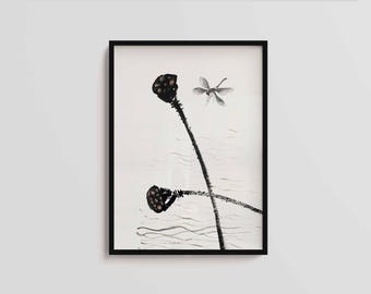 Impresión de libélula de loto de Qi Baishi: Arte vintage con tinta china (descarga digital)
