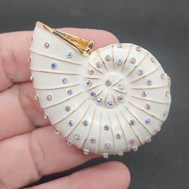 Seashell Brooch - Etsy