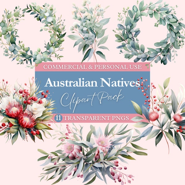 Australian Native Florals Clipart Bundle | Transparent PNG | Commercial Use Clip Art | Watercolor | Digital Image Downloads