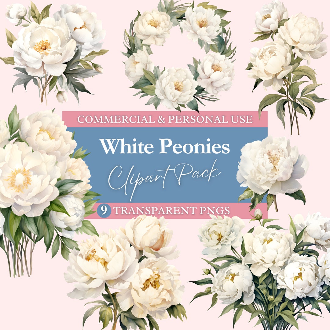 White Peonies Clipart Bundle | Transparent PNG | Commercial Use Clip ...