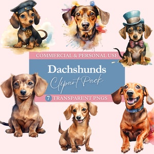 7 Dachshund Dog Clipart Bundle | Transparent PNG | Commercial Use Clip Art | Digital Image Downloads