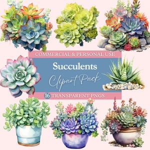Succulent Clipart Bundle | Transparent PNG | Commercial Use Clip Art | Watercolor | Digital Image Downloads | Plants | Succulents