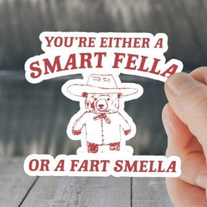 Silly Sticker Fart Smella Sticker decal - Water resistant, meme funny, smart fella hilarious decal sticker lol sticker funny gift sticker