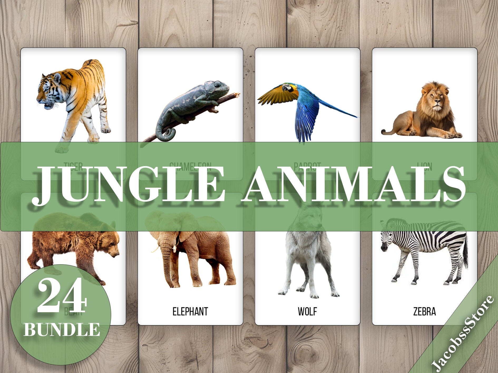JUNGLE ANIMALS 24 Editable Flashcards for Kids Flash Cards Etsy