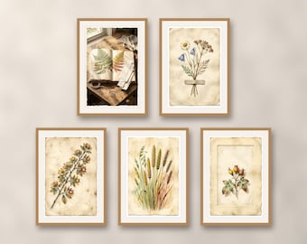 Set of 5 herbarium wall art prints, dried botanical poster collection, cottagecore wildflowers and fern art print