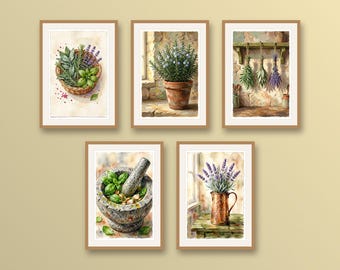 Set of 5 Mediterranean kitchen wall art prints, Provence herbs posters, sage green basil rosemary lavender culinary decor