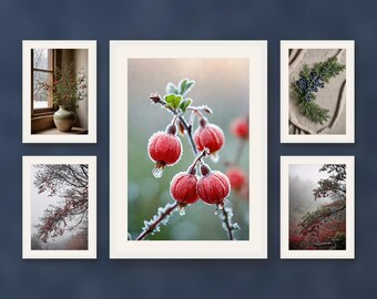 Set of 5 winter berry prints, frosted branch wall art, minimalist wild botanical prints, seasonal fine art photography