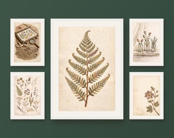Set of 5 pressed botanical prints, dried meadow herbarium and wildflowers, cottagecore nature wall decor