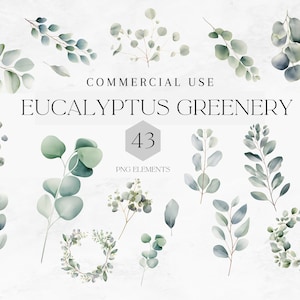 Watercolor Eucalyptus Clipart PNG, 43 Eucalyptus Greenery Clipart, Wreath Eucalyptus Greenery, Watercolor Greenery, Commercial Use