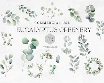 May include: A set of 43 watercolor eucalyptus greenery illustrations in shades of green and blue. The illustrations include sprigs, wreaths, and individual leaves.  COMMERCIAL USE. PNG ELEMENTS.