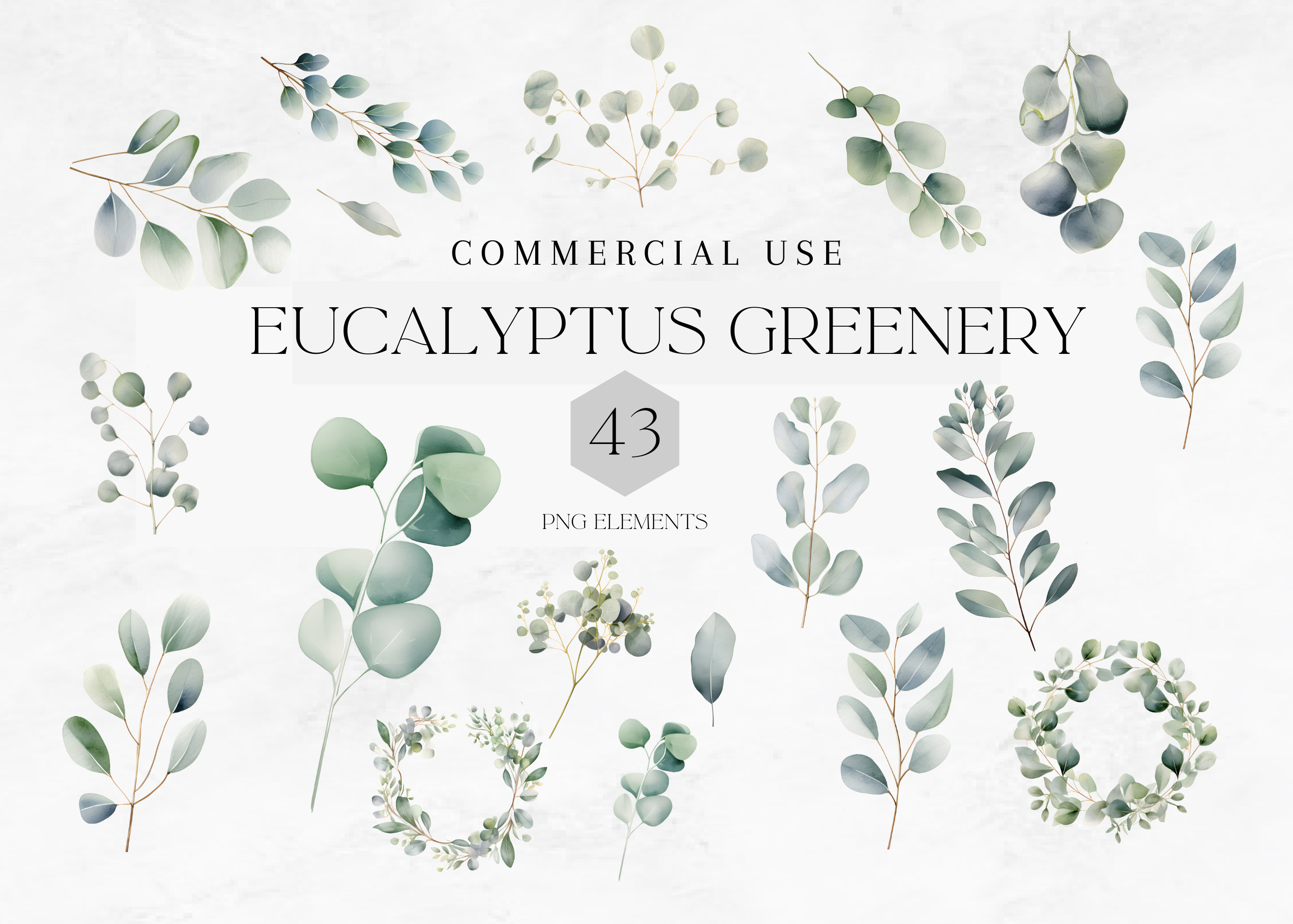 Watercolor Eucalyptus Clipart, Greenery Wreath PNG (digital Download ...