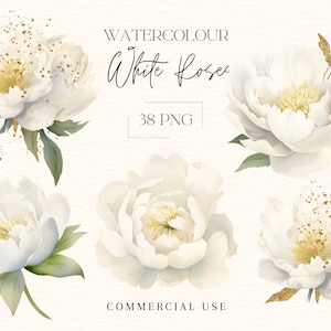 Aquarell Weiß Gold Rosen Blumen Clipart Bundle, weiße Rosen Sträuße Anordnungen Clipart PNG, kommerzielle Nutzung botanisch