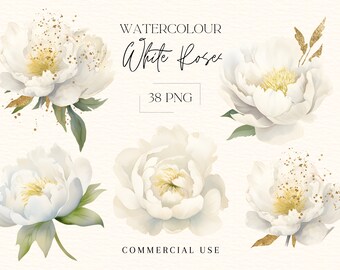 Watercolour White Gold Roses Floral Clipart Bundle, White Roses Bouquets  Arrangments Clipart PNG, Commercial Use Botanical