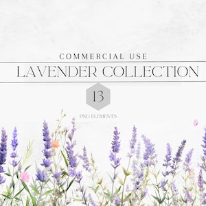 Aquarell Lavendel Blumen Clipart PNG, lila Blumen, Lavendel Bordüre, Lavendel abgelegt, 13 Png, kommerzielle Nutzung, digitaler Download