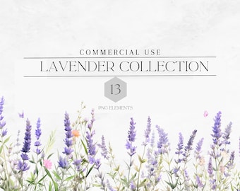 Watercolor Lavender Flower Clipart PNG, Purple Flowers, Lavender Border, Lavender Filed, 13 Png, Commercial Use, Digital Download