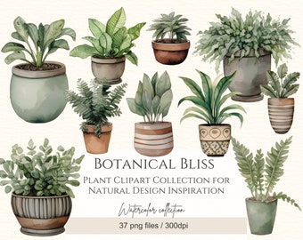 Watercolour House Plant ClipartPNG Plant Clipart, g planner stickers Scrapbooking, Commercial Use