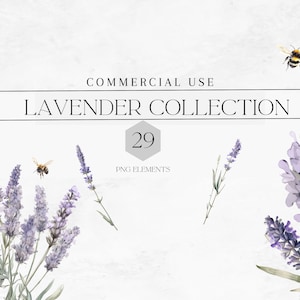 Aquarell Lavendel Blumen Clipart PNG, lila Blumen, Lavendel Sträuße, Lavendel Kränze, 29 Png, kommerzielle Nutzung, Digital