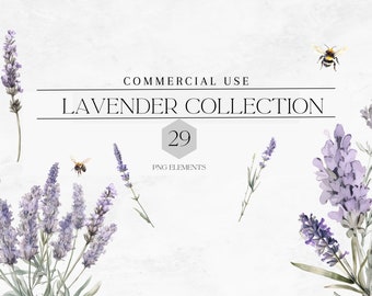 Acuarela flor de lavanda Clipart PNG, flores púrpuras, ramos de lavanda, coronas de lavanda, 29 png, uso comercial, digital