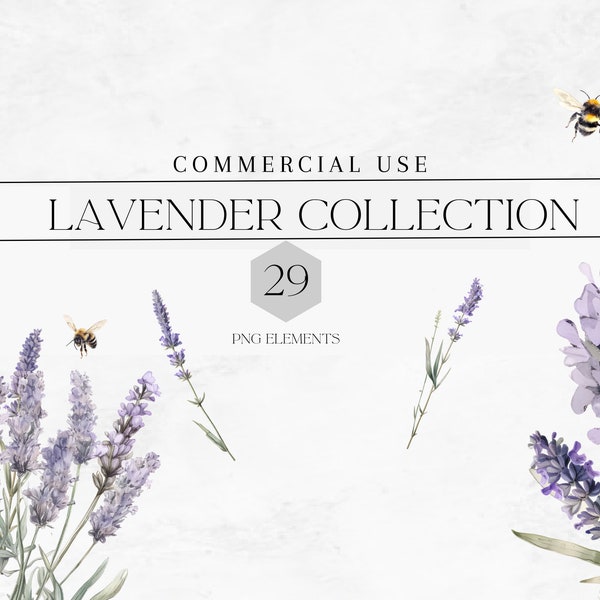 Watercolor Lavender Flower Clipart PNG, Purple Flowers, Lavender Bouquets, Lavender Wreaths, 29 Png, Commercial Use, Digital
