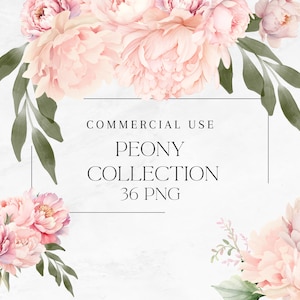 Aquarell Pfingstrose rosa Blumen Clipart Bundle, Blumen Aquarell Clipart, Neutral Floral 36 Transparent Png, Botanisch, Kommerzielle Nutzung Digital