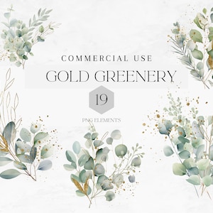 Aquarel Eucalyptus groen clipart PNG, 19 groen goud gebladerte clipart, goud groen, botanische clipart, commercieel gebruik