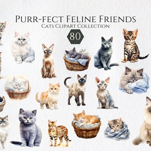 Bundle de cliparts aquarelle chats et chatons, clipart chat mignon, clipart animaux, journal indésirable, scrapbooking, autocollant, téléchargement numérique