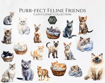 Watercolor Cat Clipart Bundle, Cute Kitties, Junk Journal, Scrapbooking (Digital Download)