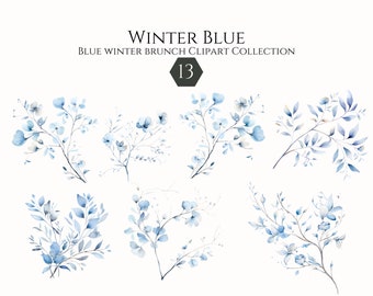 May include: A set of 13 watercolor illustrations of blue floral sprigs. The illustrations feature delicate blue flowers and leaves, perfect for adding a touch of wintery elegance to your designs.