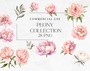 Pacote de Clipart de Peônias em Aquarela, Flores Rosas, 28 PNGs (Download Digital)