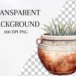 May include: A terracotta pot with a white rim and intricate designs, filled with green leafy plants.