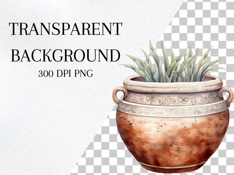 May include: A terracotta pot with a white rim and intricate designs, filled with green leafy plants.
