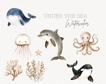 Pacote de clipart de aquarela de animais fofos sob o mar, clipart de animais marinhos png, vida marinha, imagens para download instantâneo, uso comercial, digital