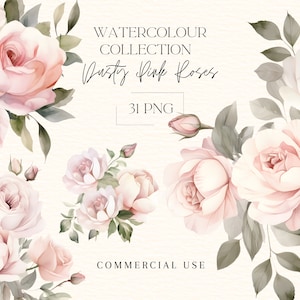 Watercolour Blush Roses Floral Clipart Bundle, Dusty Roses Bouquets  Arrangments Clipart PNG, Commercial Use Botanical