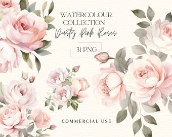 May include: Watercolor collection of 31 dusty pink roses in PNG format. The roses are arranged in bouquets and individual blooms, with green leaves and stems. The text "Watercolour Collection Dusty Pink Roses 31 PNG Commercial Use" is visible in the image.