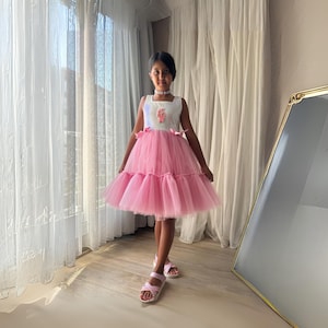 Labubu Girls Dress, Cute Character Print Cotton Birthday Party Outfit, Toddler Summer Clothing, Gift Ready Kids Fashion