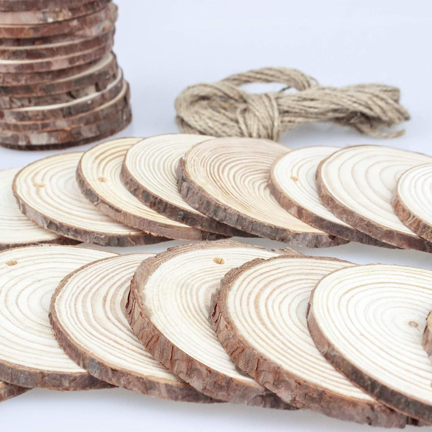 Binswloo 30 Pcs Natural Wood Slices, 3.5-4 Inch Unfinished Craft Wood  Circles Round Wood Discs for Arts DIY Crafts Paintings