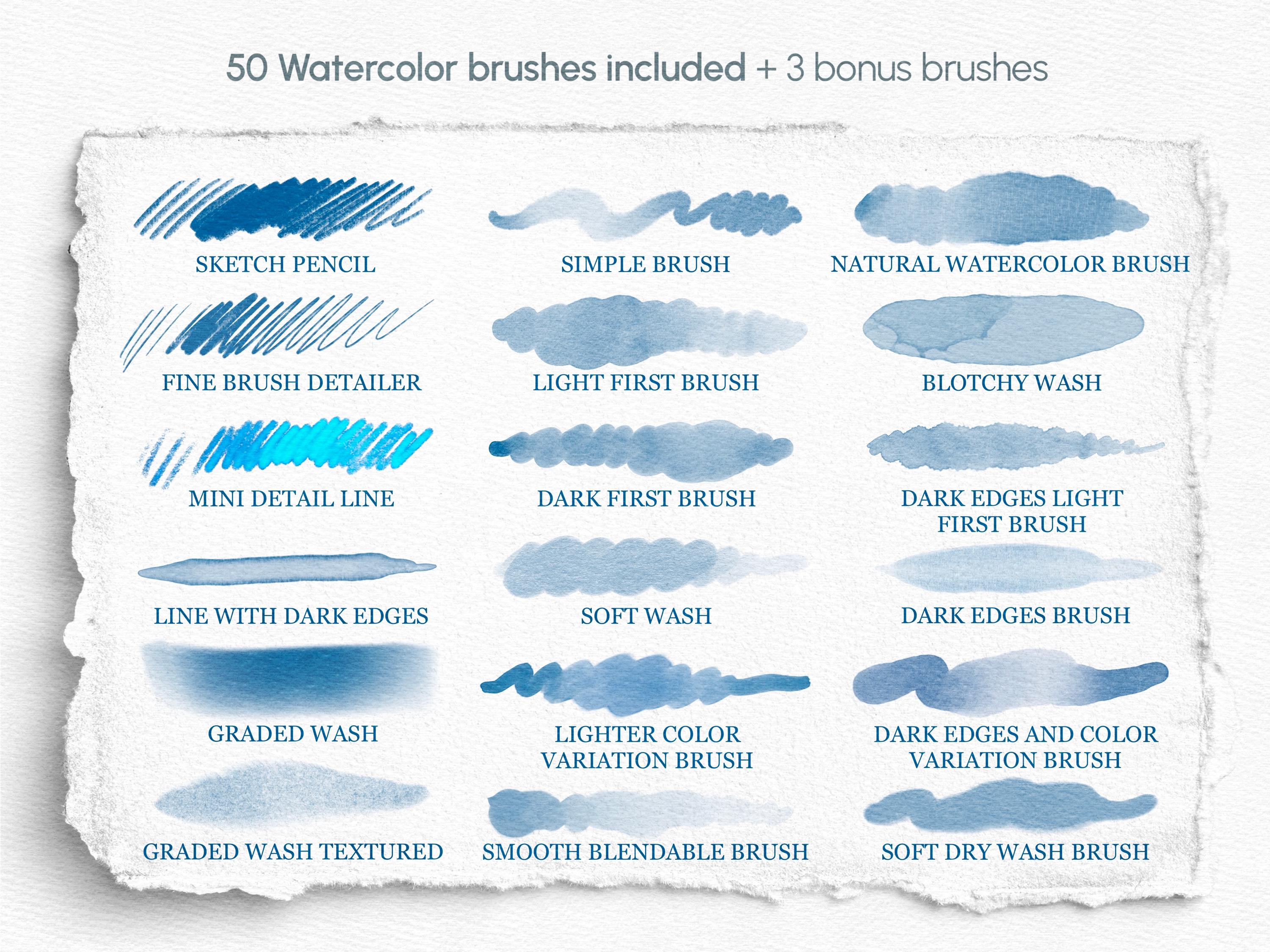 Realistic Watercolor Brushes for Procreate: 50 Brush Set + Texture ...