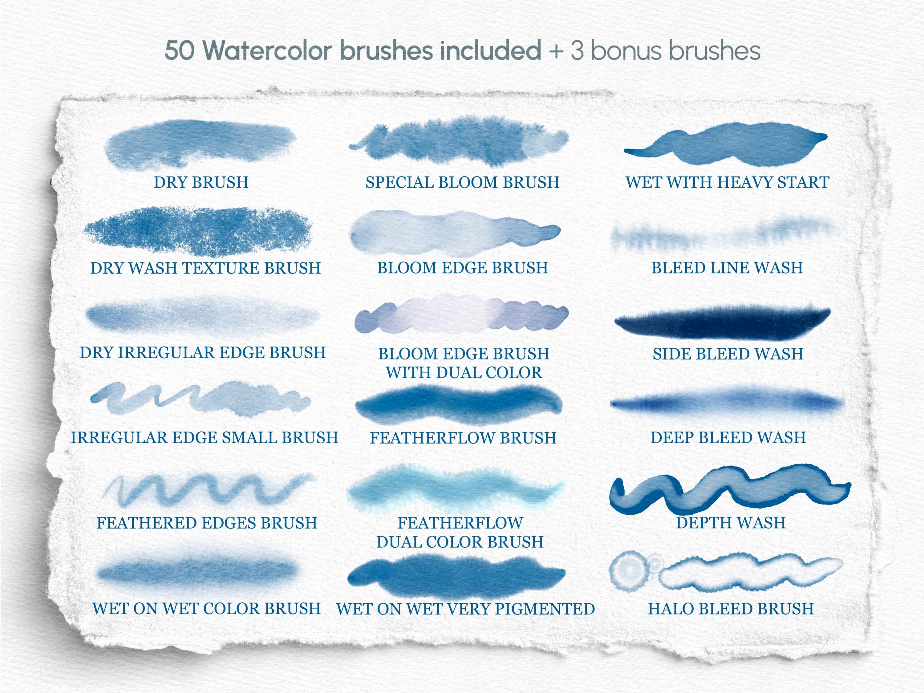 Realistic Watercolor Brushes for Procreate: 50 Brush Set + Texture ...