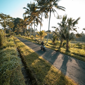 Radiant Luxe Golden Hour Preset Collection for Photoshop and Lightroom