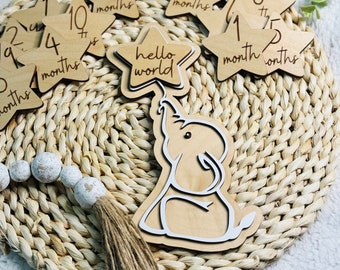 Baby Birth Announcement and Milestone Disc Set | Baby Announcement | Milestone Markers | Baby Shower Gift | Baby Photo Prop | Monthly Photos