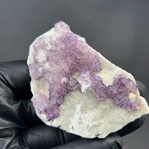 Puede incluir: Un espécimen natural de fluorita con grupos de cristales cúbicos morados sobre una matriz blanca. Los cristales tienen un tono morado intenso, que contrasta con la base más clara. La formación mineral se muestra sobre un fondo oscuro.