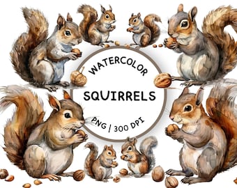 Imágenes Prediseñadas de ardillas de acuarela, criaturas del bosque PNG, ardillas lindas PNG, animales del bosque,