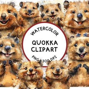 Clipart Quokka, Quokka acquerello, Quokka PNG, Quokka carino, Clipart di carte animali
