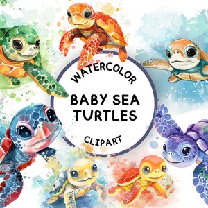 Baby Meeresschildkröten Clipart, Aquarell, PNG, Niedliche Baby Meeresschildkröten, Ozean Karte Clipart