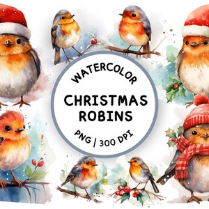 Noël Robin Clipart, aquarelle Robin, oiseau PNG, Red Robin, hiver Clipart, aquarelle Noël Clipart, Clipart de carte de Noël