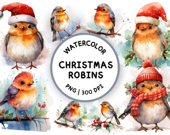 Christmas Robin Clipart, Watercolor Robin, Bird PNG, Red Robin, Winter Clipart, Watercolor Christmas Clipart, Christmas Card Clipart
