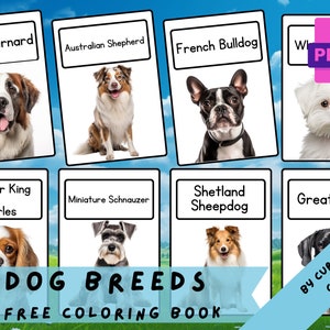 Hunderassen • 24 druckbare Karteikarten, Lehr-Lern-Ressourcen, Lehraktivitäten, Hunde-Erziehung zu Hause, Montessori-Karteikarten
