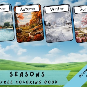 SAISONS • 4 Flashcards imprimables, Ressources d'apprentissage pédagogique, Activités pédagogiques, Éducation à domicile Seasons, Cartes Flash Montessori